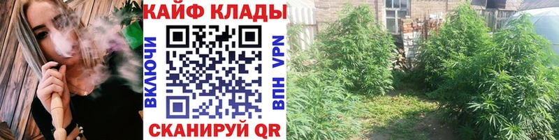 Где купить Пошехонье БУТИРАТ  Мефедрон  COCAIN  Alpha-PVP  АМФ 