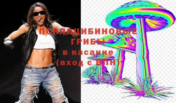 стаф Алексин