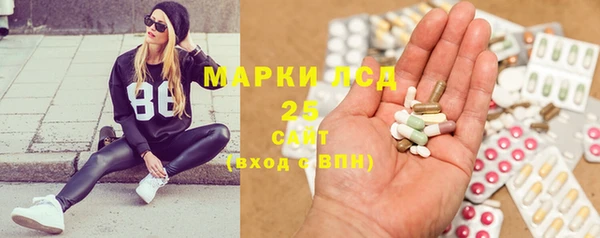 стаф Алексин