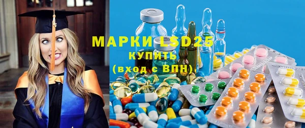 стаф Алексин