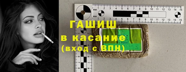 стаф Алексин