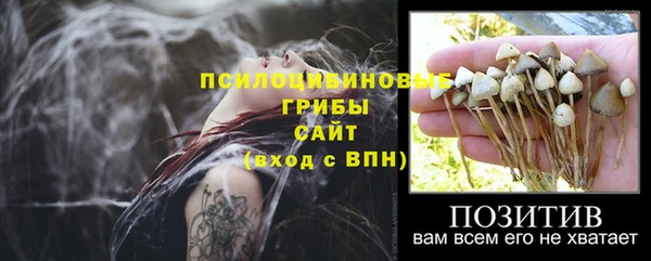 а пвп мука Алзамай