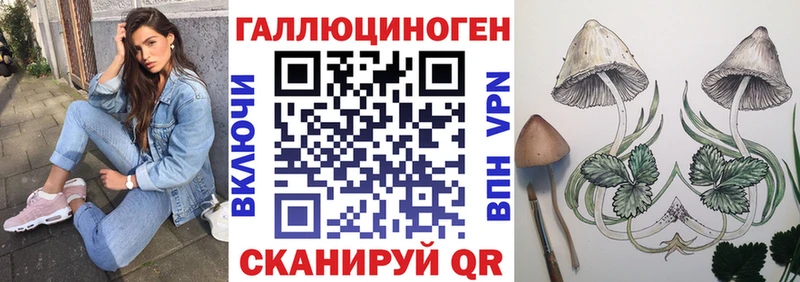 Галлюциногенные грибы прущие грибы  Пошехонье 
